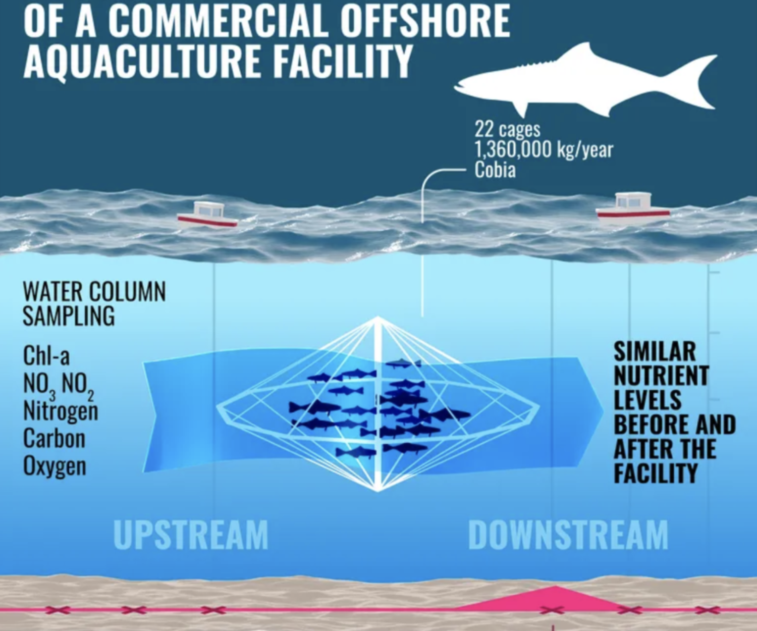 aquaculture 1024x1024 1