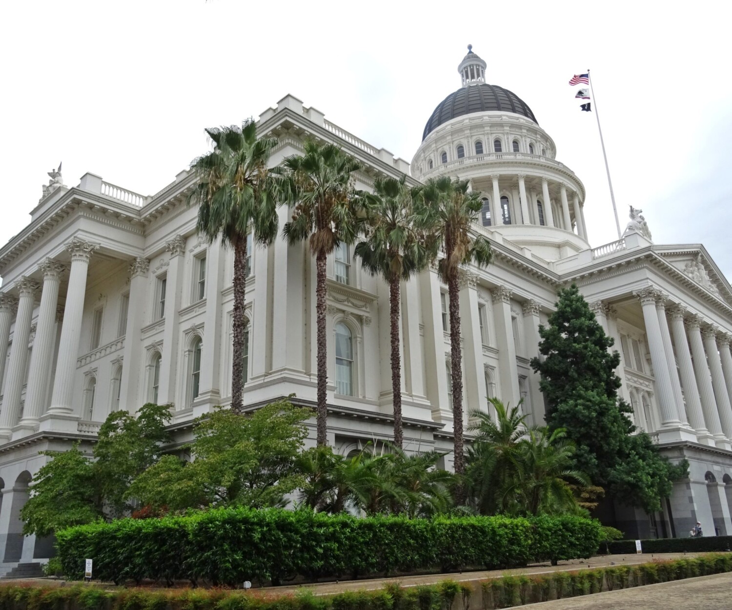 california capitol scaled