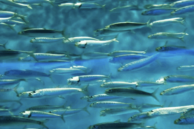 Credit: Ganapathy Kumar on Unsplash